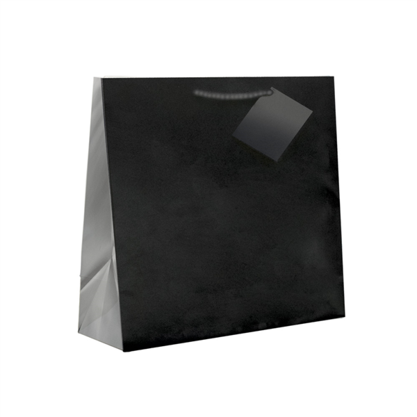 Shopping Bags / Draagtassen met koord Zwart 19+10x27cm (10st/pak)