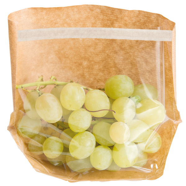 Bags with base & window self-sealing "turtle pack" 20x15x4/4cm Natural Kraft (100st/pak)