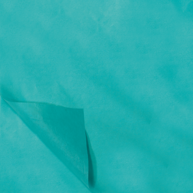 Tissue / Zijdevloe 50x70cm Licht Blauw (100st/pak)