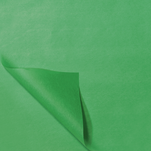 [331516] Tissue / Zijdevloe 50x70cm Licht Groen (100st/pak)
