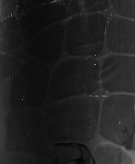 [6291] Cadeau papier Mock Croc Black 24"x417