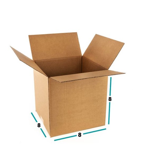 [888] Carton 8" Cube  20x20x20 cm  8x8x8"