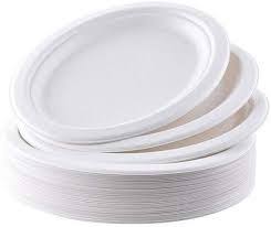 [6PSC1R] 6" Bagasse Round Plate (1000pcs/case)