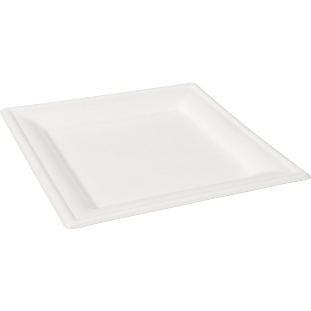 Biodore bord vierkant wit 16cm bagasse (50st/krimp)