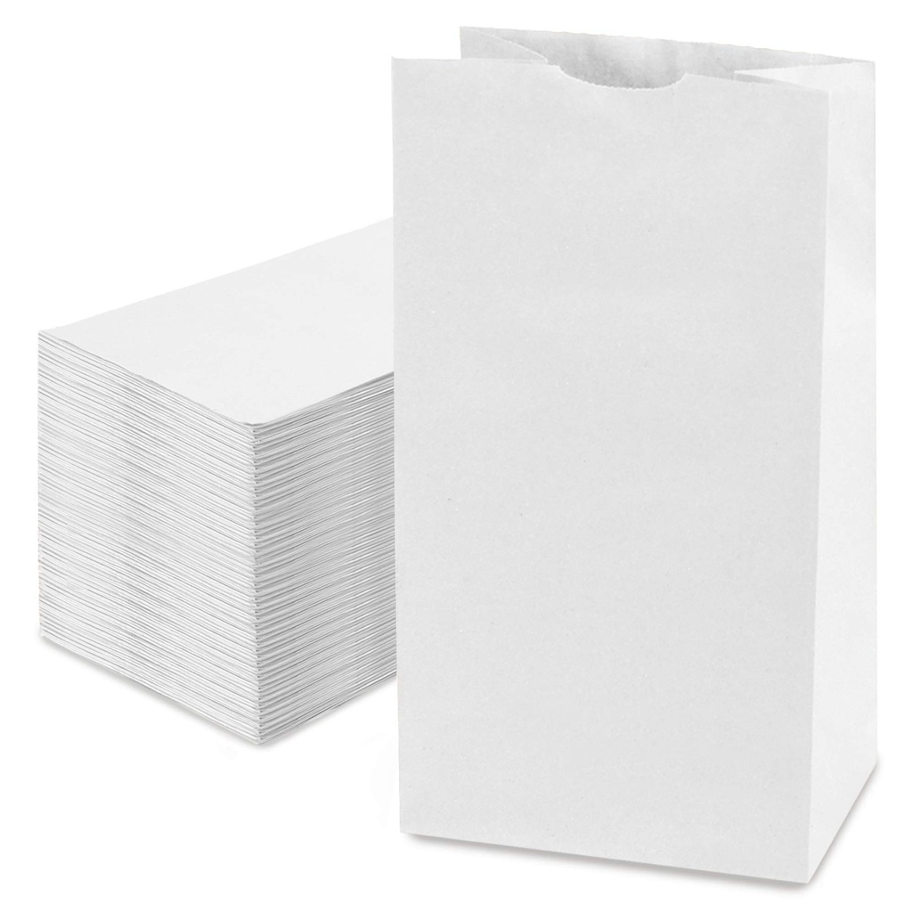 Grocery Bag paper White 16 lb (500pcs/pack)