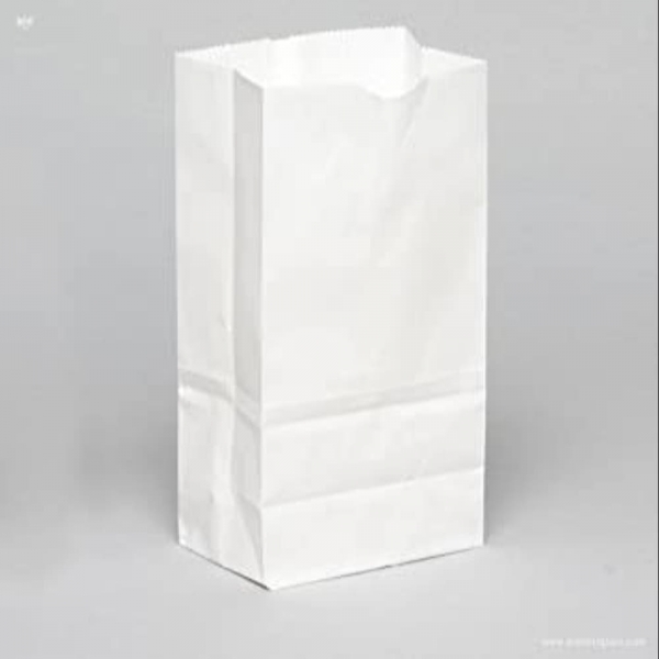 Grocery bag paper white 8 lb (500st)