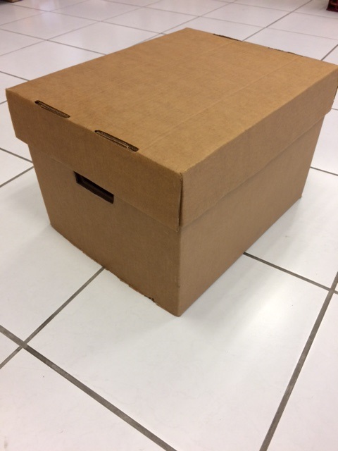 Carton Legal /letter size Hvy Duty w/ top