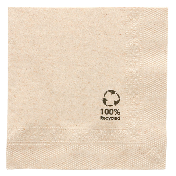 Napkin 2-ply "Feel Green" 20x20cm Brown Cellulose 100% recycled. (48x100pcs/case)