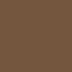 Napkins Bio Airlaid Dunisoft (DSF) 40x40cm 1/4-fold Chestnut (6x60st/doos)