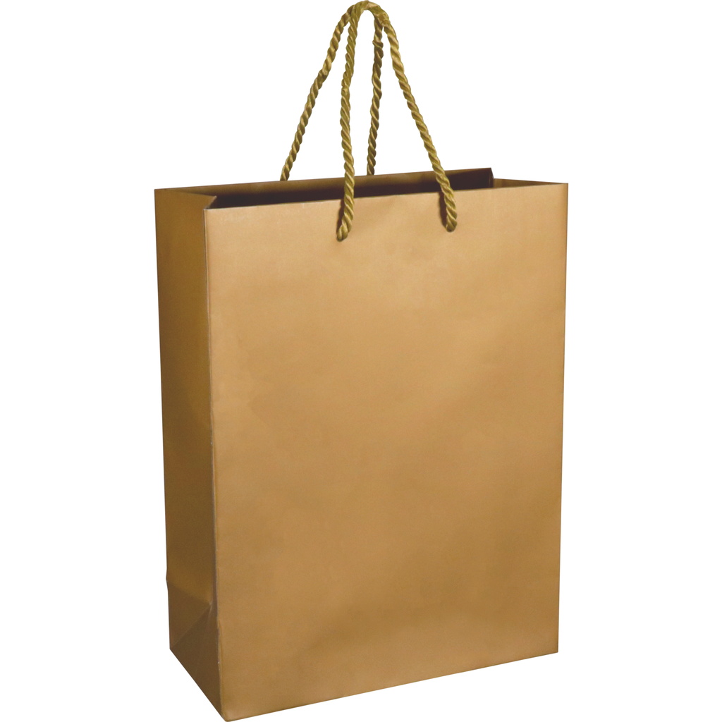 Draagtas Papier met koord 22x10x29cm Goud 25st/pk