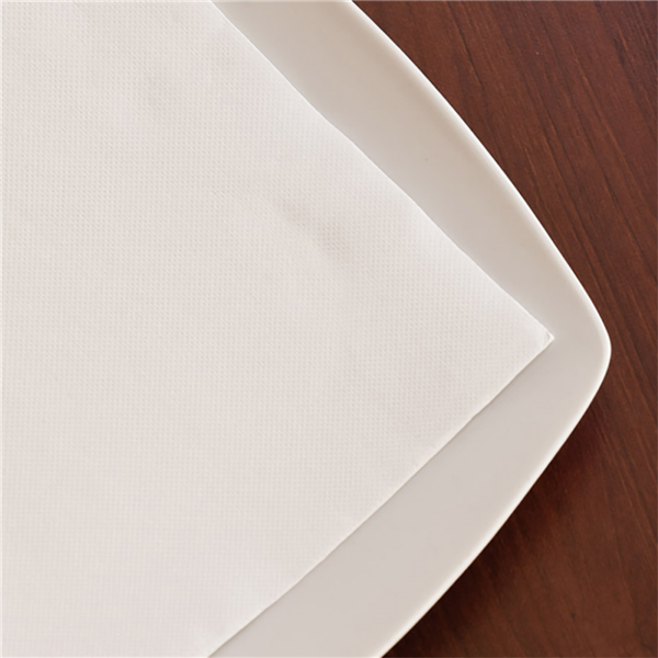 Napkins Double Point White 20x20cm 1/4-fold 100/pk