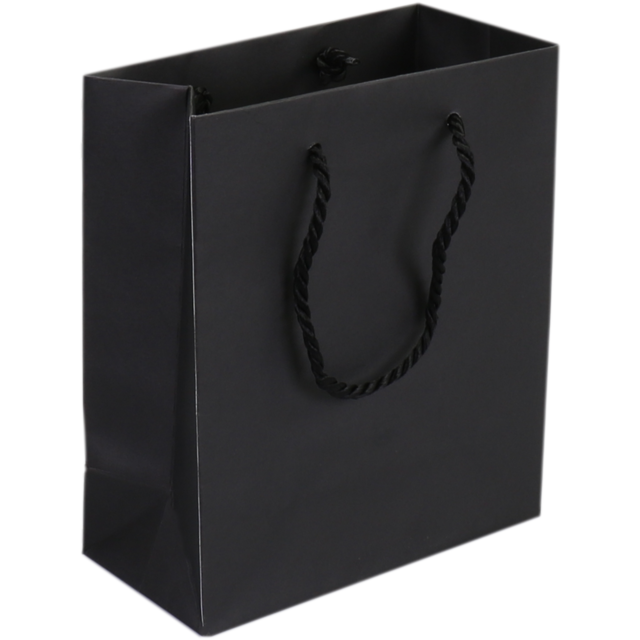 Draagtas Papier met koord 16x8x19cm Zwart 25st/pak