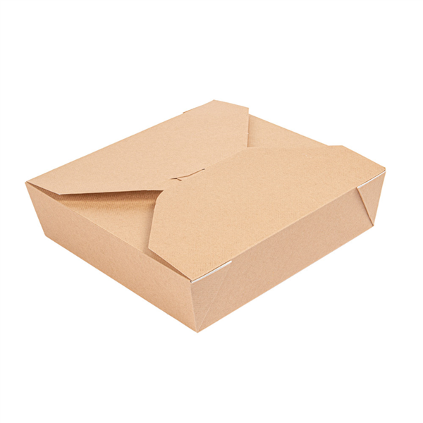 "The Pack" Rectangular Boxes 2910ml 21,7x21,7x6cm Natural Kraft Nano-Micro Corrugated Cardboard (50st/pack)