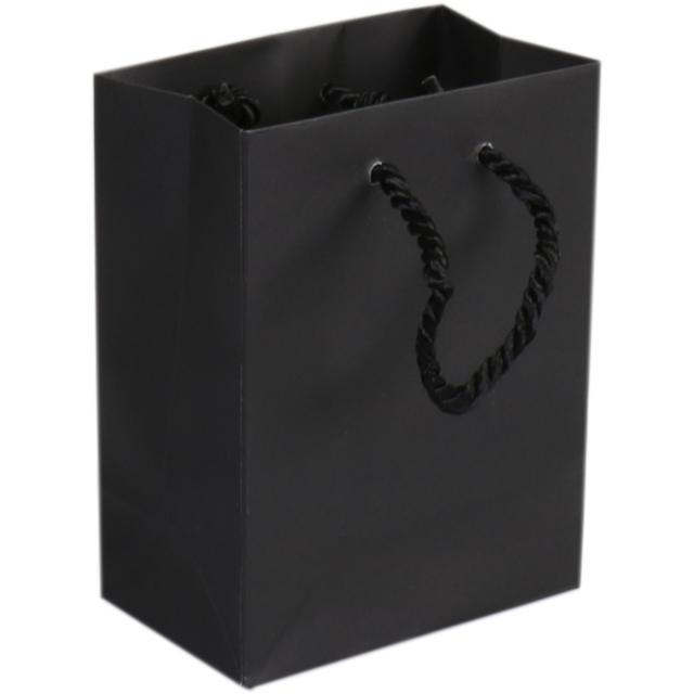 Draagtas Papier met koord 11x6,5x14,5cm Zwart (25st/pak)