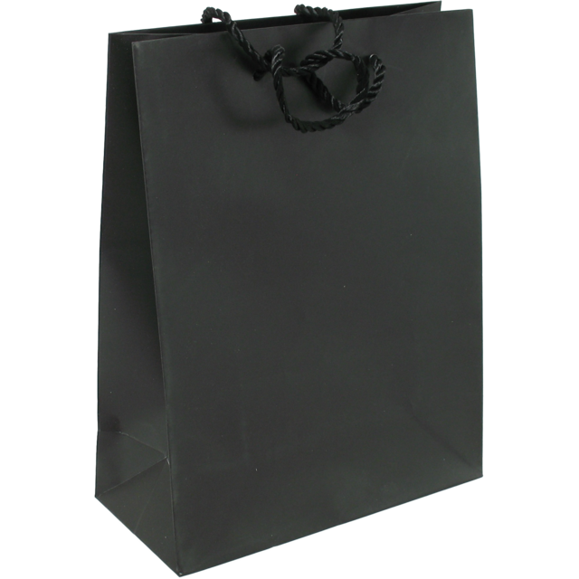 Draagtas Papier met koord 22x10x29cm Zwart 100st/ds