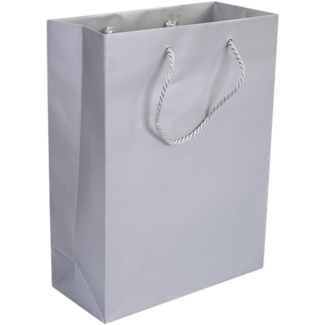 Draagtas Papier met koord 22x10x29cm Zilver 100st/ds