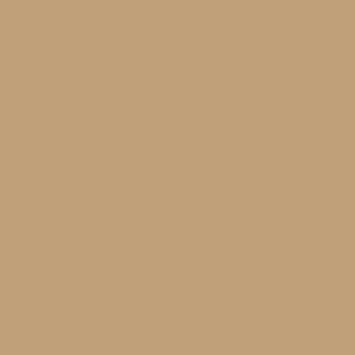 [210409] Napkins 2-ply 24x24cm Natural Brown (8x300st/doos)