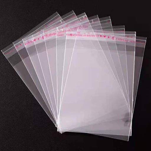 [1751551] PP seal zakje 18x24cm+4cm hersluitbaar transp. 250/pk