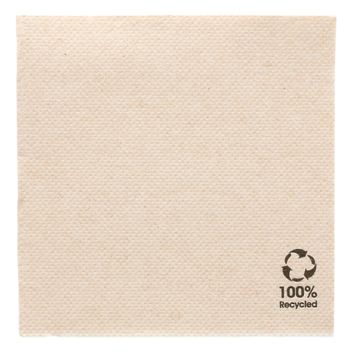 [191.091] Napkins Double Point Feel Green/Eco 20x20cm 1/4-fold Brown Cellulose 100/pk