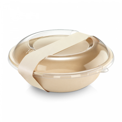 [4210201] Paperwise Banderol Zelfklevend 55x3cm (100st)